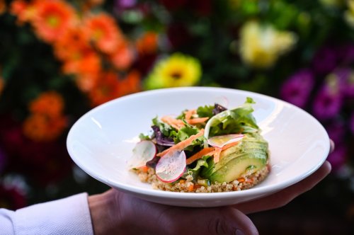 Crazy Pizza Quinoa Salad